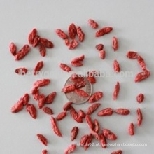 Sementes secas de baga de Goji / Sementes de Goji / Sementes Wolfberry / Origem Ningxia